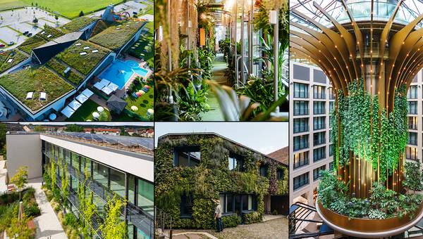 Die 5 Erstplatzierten des BuGG-Wettbewerbs "Gebäudegrün des Jahres 2025".