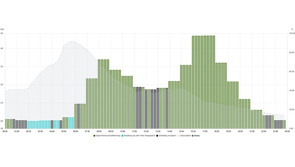 Fenecon FEMS App Shell DIY