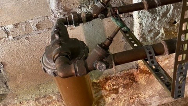 Pfusch am Bau: Frische Leserbilder für den Sommerstart