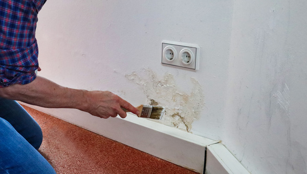 Kriechende Nässe in Wänden erkennen: Selbst-Checks und effektive Sanierungsmethoden
