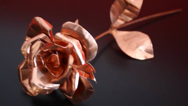 Diese Rosen verblühen nie - garantiert!