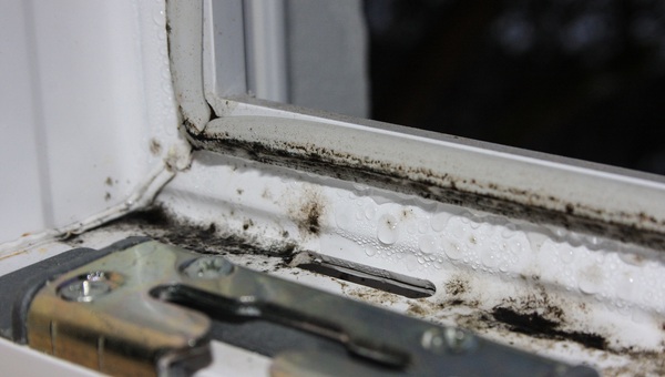 So lässt sich Schimmel im Fensterfalz vermeiden