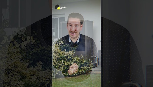 Schärfere Lautstärkegrenzen für WP, Checkliste für Hausbesitzer, PV überholt Braunkohle & Erdgas