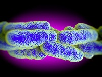 Legionellen, Bäume, Mobilfunkmasten und Garagen: 4 Urteile rund ums Wohnen