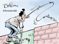 Vier skurrile Gerichtsfälle rund ums Bauen und Wohnen