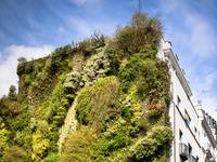 Metallfassaden: Begrünte Dächer und Wände