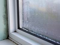 Schimmelalarm bei Dauerregen: Wann Fenster zum Problem werden können