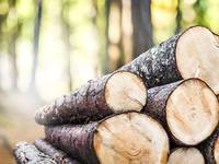 Holzenergie-Fachverband antwortet mit Faktencheck auf Kritik
