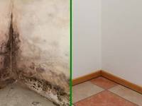 50er-Jahre-Haus: Feuchte Mauern durch alte Bausünden