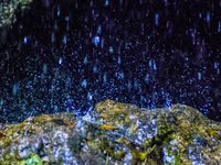 Wasserenthärter in der Praxis: Wenn das Wasser plötzlich hart wird