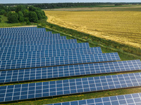 NABU und BSW definieren Solarpark-Standards