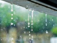 HFO-Kältemittel belasten Regenwasser mit TFA