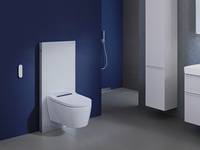 Dusch-WC: Lösungen für Nachrüstung und Badrenovierung