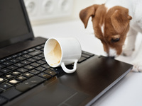 Unternehmens-IT im Homeoffice: Wer haftet bei Schaden am Firmenequipment