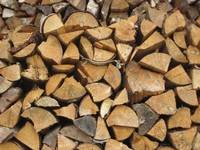 Ob vom Förster oder Baumarkt – Brennholz ist weiterhin erheblich günstiger als Gas und Heizöl