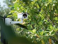 Eine Videokamera im Garten