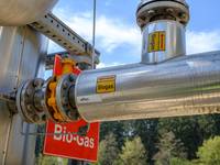Ist Biomethan aus Biogas eine Alternative zu russischem Gas