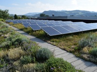 Photovoltaik auf einem begrünten Flachdach