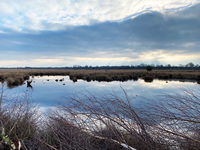 Die Konkurrenz um die Ressource Wasser nimmt in Trockenperioden zu. Die Deutsche Bundesstiftung Umwelt (DBU) rät zum Weltwassertag am 22. März, das Management zügig anzupassen und mehr Wasser in der Landschaft zu halten.