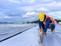 Arbeiten auf dem Flachdach: Absturzsicherung ist wichtiger denn je