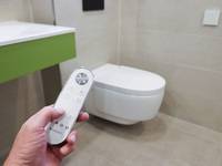 Rosenhof Geberit Dusch-WC