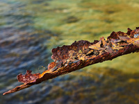 Energieeffizienz fängt beim Heizungswasser an