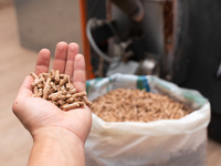 Ampel sägt Holz politisch weiter den Ast ab