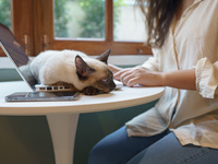 Nichts gearbeitet im Homeoffice: Wann entfällt der Vergütungsanspruch?