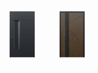 Aluhaus Haustür Elite