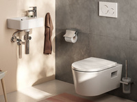 Elupura Origina Toilette Hansgrohe