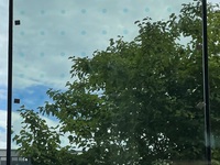 Vogelschutzglas des Fraunhofer ISE