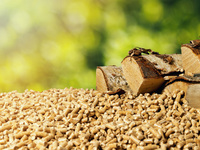 Verbände kritisieren CO2-Rechner des Umweltbundesamtes: Holzenergie fälschlich belastet