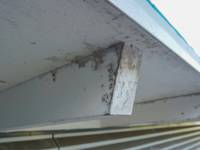 So lässt sich Schimmelbildung am Dachüberstand vermeiden