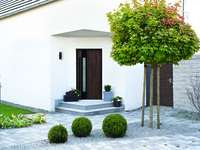 Ein senkrechter Lichtausschnitt lässt Tageslicht in die Wohnung und dient als zentraler Blickfang. Die senkrechte Gestaltung wird von der Griffstange und den vertikalen Lisenen wieder aufgenommen.