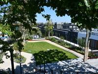 Intelligente Konzepte für den Umgang mit Regenwasser