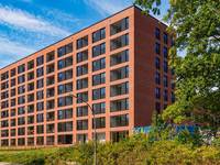 Hannoband Duo Easy 240