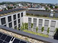 Begrünte Dächer und Fassaden verbessern das energetische Verhalten von Gebäuden.