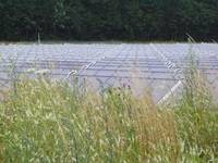 In die Natur eingebettet: eine solarthermische Freiflächenanlage von GREENoneTEC