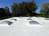 Triflex Prosolar finish plus