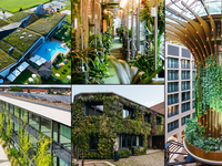 Die 5 Erstplatzierten des BuGG-Wettbewerbs "Gebäudegrün des Jahres 2025".