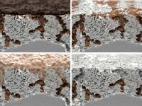 Ölverschmutzte Böden einfach und effizient sanieren