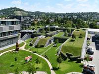 Deutschland ist Vorreiter bei der Begrünung von Dächern und Fassaden.