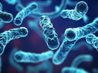 Legionellen im Winter: 3 Gründe für erhöhtes Risiko