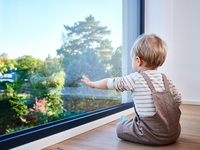 Holz, Kunststoff, Aluminium: So nachhaltig sind Fenster