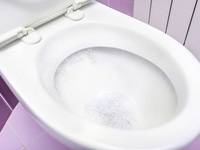 Energie aus der Toilette - Deutsche Forscher möchten Abwasser besser nutzen