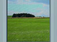 Wespen, Mücken und andere Insekten: Über nervige Tierchen und unlautere Dienstleistungen