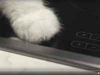 Von Katze zu Katastrophe: Somfy Smart Home-Spot