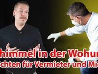 haustec NEWS I Schimmel in der Wohnung, das bringt der Dachfensteraustausch, Rückgang bei Heizkosten