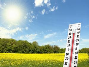 8 Dinge, die das Arbeiten bei Hitze erträglicher machen