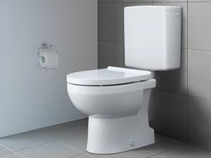 DuraStyle Basic Rimless: WCs für den Renovierungsbereich